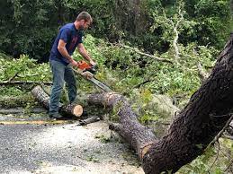 Leaf Removal in Jerome, IL