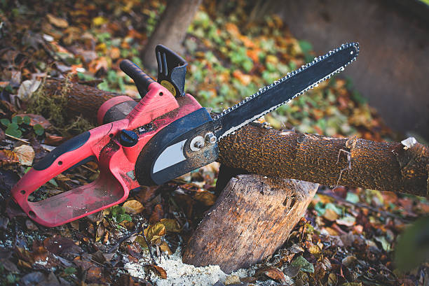 Best Stump Grinding and Removal  in Jerome, IL